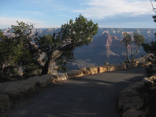 Grand Canyon Rim Tail 2