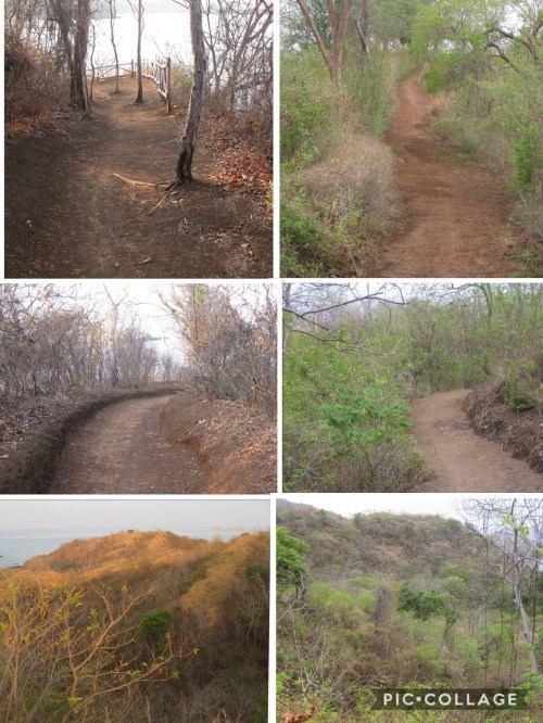 Before and after rain