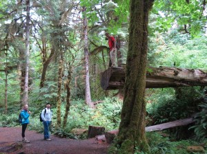 HOH Rain Forest hike