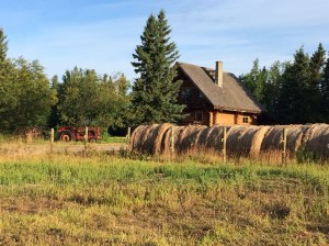Felicity and Gordon farm