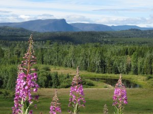 View west of Burns Lake