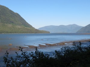 Skeena sandbars