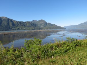 Skeena reflections