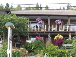 Queen Charlotte lodgings