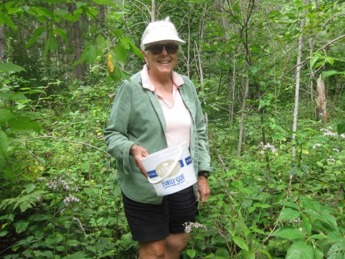 Betsy blackberry picking 