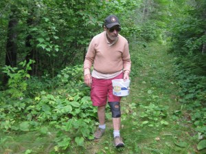 Bill blackberry picking