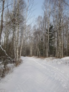 Skiing ungroomed Lester