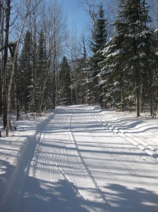 Lester on groomed trails