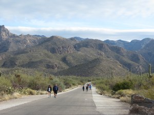 Pedestrians walking Sabino Canyon