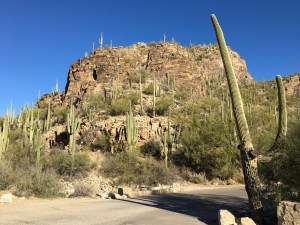 Sabino Canyon morning