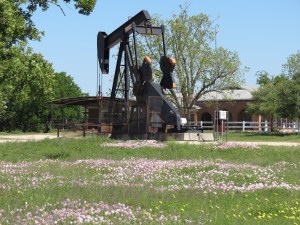 Oil rig with wildflowers
