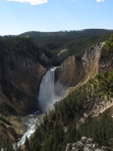 Yellowstone Lower Falls
