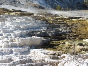 Mammoth Hot Springs 2