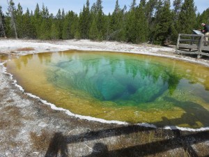 Morning Glory hot spring