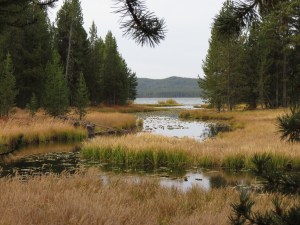 Shoshone Lake in distance