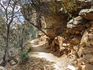 Medera Canyon Nature Trail