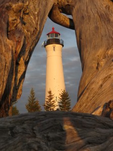 Crisp Point through driftwood