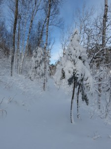 Blizzard snowshoeing 2