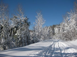 Blizzard XC skiing 2