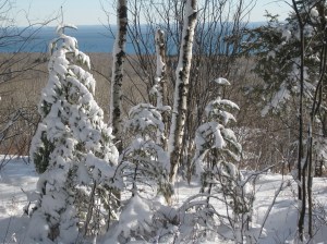 Blizzard XC skiing 3