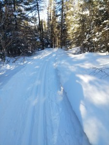 Northwoods Ski Trails