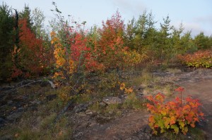 Magnetic Rock Trail 1