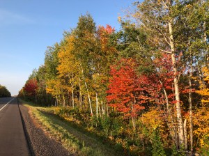 Fall colors Lavaque Road