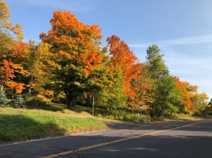 Skyline Drive fall colors 1