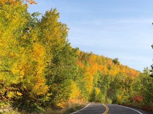 Skyline Drive fall colors 4