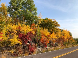 Skyline Drive fall colors 2