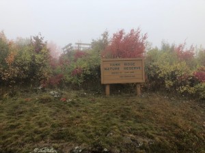 Hawk Ridge in fog