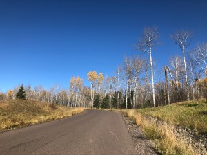 Seven Bridges Road October 2020