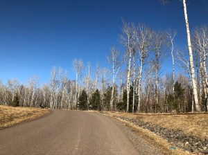 Seven Bridges Road April 2020