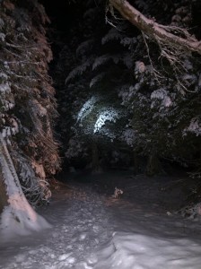 Lester Amity trail at night