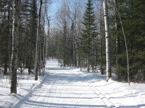 Lester ski trail