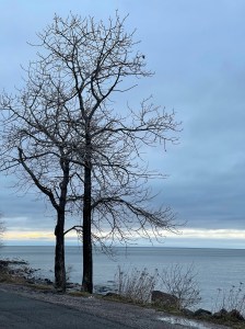 White sunrise Brighton Beach