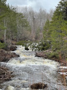 Amity Creek above Smiley Falls