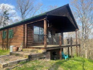 Cabin in the Ozarks